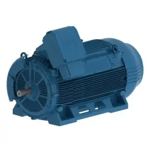WEG W50 Cast Iron TEFC General Purpose Motor